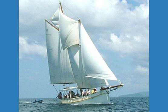 Classic Schooner Sailing Yacht six sails up