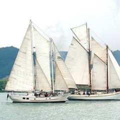Classic Schooner Sailing Yacht with an old friend